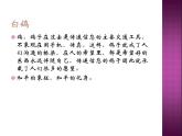 人教新課標(biāo)三年級上冊音樂第六單元 童趣-課件(共12張PPT)