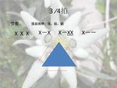 花城版小学音乐五年级上册 9.5 雪绒花 课件（8张）