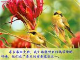 小學三年級上冊音樂-第一單元《愛唱歌的杜鵑》--人教新課標(12張)ppt課件