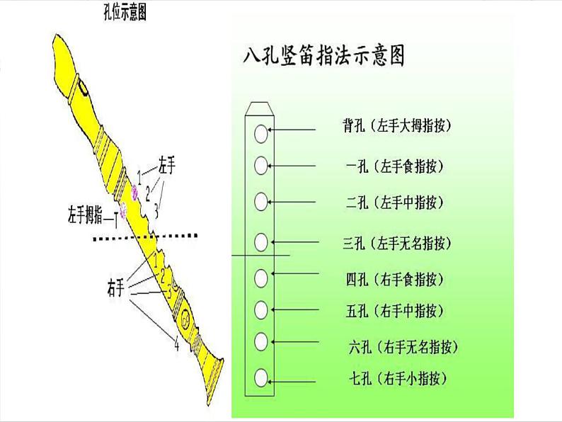 小学三年级上册音乐-第三单元百灵鸟的歌竖笛练习(三)--苏少版(7张)ppt课件05