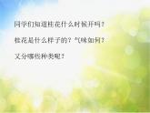 小学三年级上册音乐-第四单元采山谣八月桂花遍地开--苏少版(9张)ppt课件