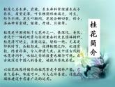 小学三年级上册音乐-第四单元采山谣八月桂花遍地开--苏少版(9张)ppt课件