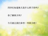 小学三年级上册音乐-第四单元采山谣综合表演(夸秋天)--苏少版(11张)ppt课件