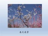 人教新課標一年級音樂上冊-6.4 唱歌 找春天 課件(共10張PPT)