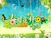 小学三年级上册音乐-第6课《杜鹃圆舞曲》--花城版(13张)ppt课件