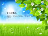小学三年级上册音乐-第6课《杜鹃圆舞曲》--花城版(13张)ppt课件