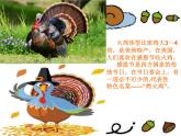 歌曲《稻草里的火鸡》PPT课件免费下载