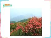 花城版五年级下册音乐第一课 《闪闪的红星》第二课时 课件PPT+教案