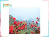 花城版五年级下册音乐第一课 《闪闪的红星》第二课时 课件PPT+教案