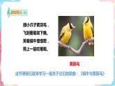 花城版五年级下册音乐第三课 《认知音乐节奏》 课件PPT+教案