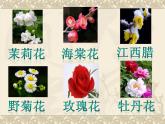 音樂(lè) 人音版（簡(jiǎn)譜） 二年級(jí)上 第5課 打花巴掌_課件