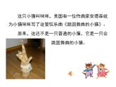 音樂 人音版（簡譜） 二年級上 第5課 跳圓舞曲的小貓(1)課件
