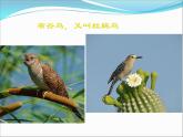 請(qǐng)你唱個(gè)歌吧PPT課件免費(fèi)下載