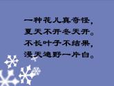 湘艺版 二年级上册音乐 第十一课 欢乐的小雪花_（课件）