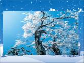 湘艺版 二年级上册音乐 第十一课 雪花飞舞_（课件）