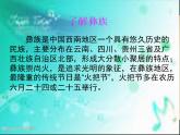 湘艺版 二年级上册音乐 第一课 阿西里西_（课件）