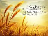 湘艺版 二年级上册音乐 第二课 丰收之歌_（课件）