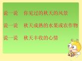 湘艺版 二年级上册音乐 第二课 金铃铛_(1)（课件）
