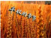 湘艺版 二年级上册音乐 第二课 (演唱)金铃铛(1)（课件）