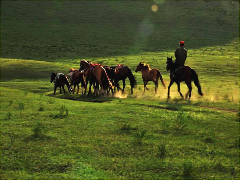 湘艺版 二年级上册音乐 第六课 蒙古小夜曲_（课件）03