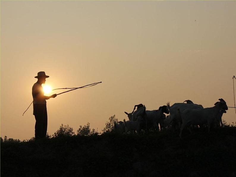 湘艺版 二年级上册音乐 第六课 蒙古小夜曲_（课件）04