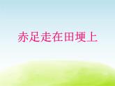 五年级音乐上册第一单元赤足走在田埂上课件1苏少版