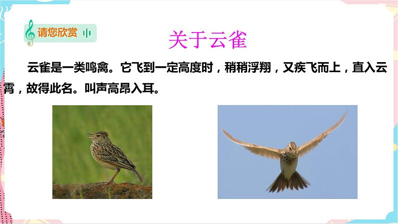 花城版音乐三下 第6课 五彩缤纷的音乐世界（一） 课件PPT+教案02