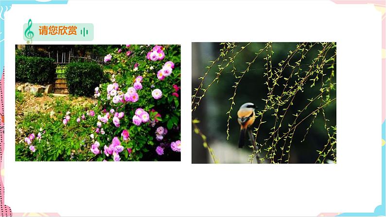 花城版音乐三下 第1课《春天来了》教案+课件PPT02