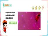 小学音乐花城版一年级下册第14课《唱唱跳跳》课件（19张PPT）+教案+素材