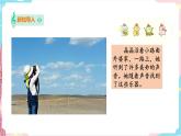 花城版二年级下册第十二课 找乐器的游戏（课件+教案）