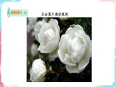 花城版音乐四下 第二课 《茉莉花》(课件+教案+素材）