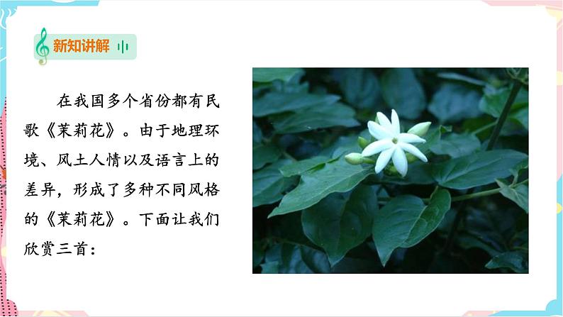 《茉莉花》（课件）第8页