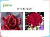 花城版音乐四下 第9课 感知音乐节拍（三）第2课时 课件+教案