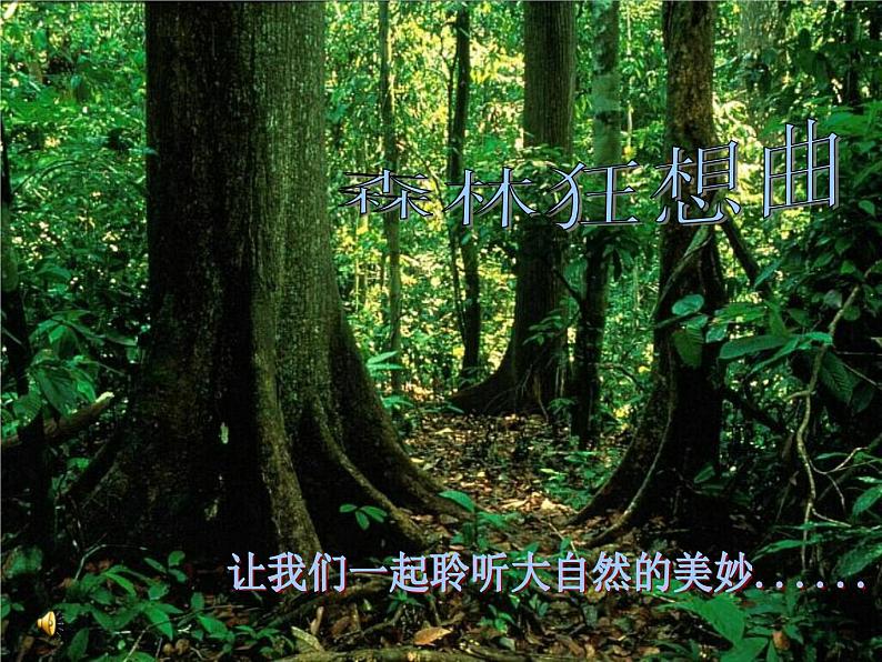 （听赏）森林狂想曲（电子音乐） 课件+素材（无教案）01