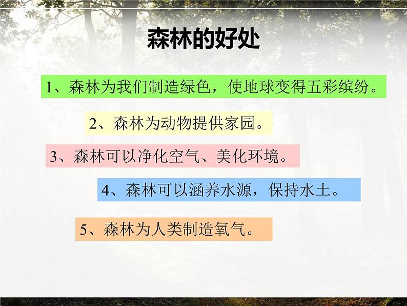 （听赏）森林狂想曲（电子音乐） 课件+素材（无教案）01