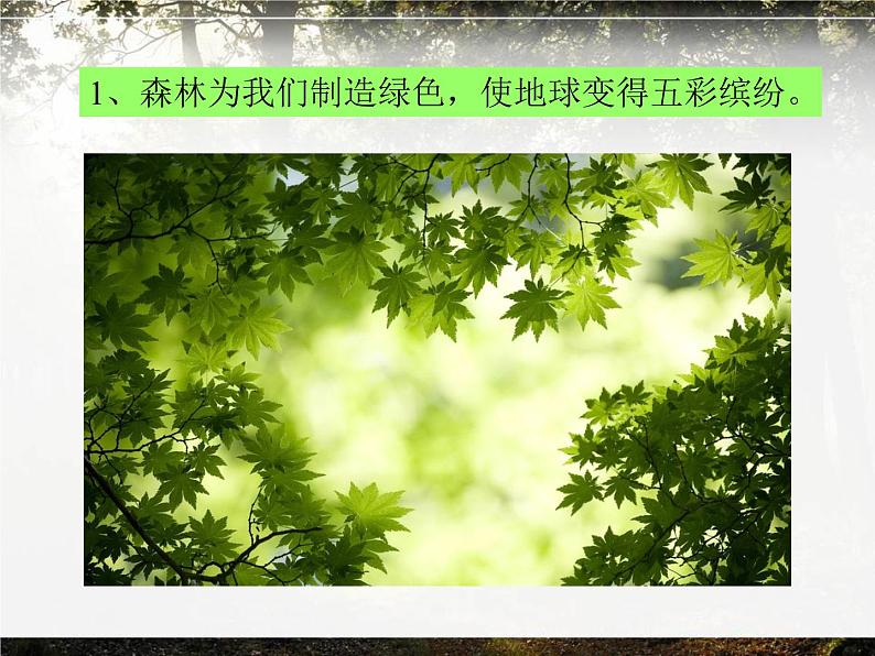 （听赏）森林狂想曲（电子音乐） 课件+素材（无教案）02