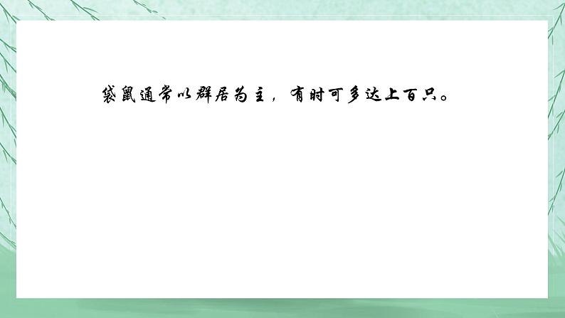 人音版小学一年级上册音乐第4课可爱的动物 袋鼠课件第6页