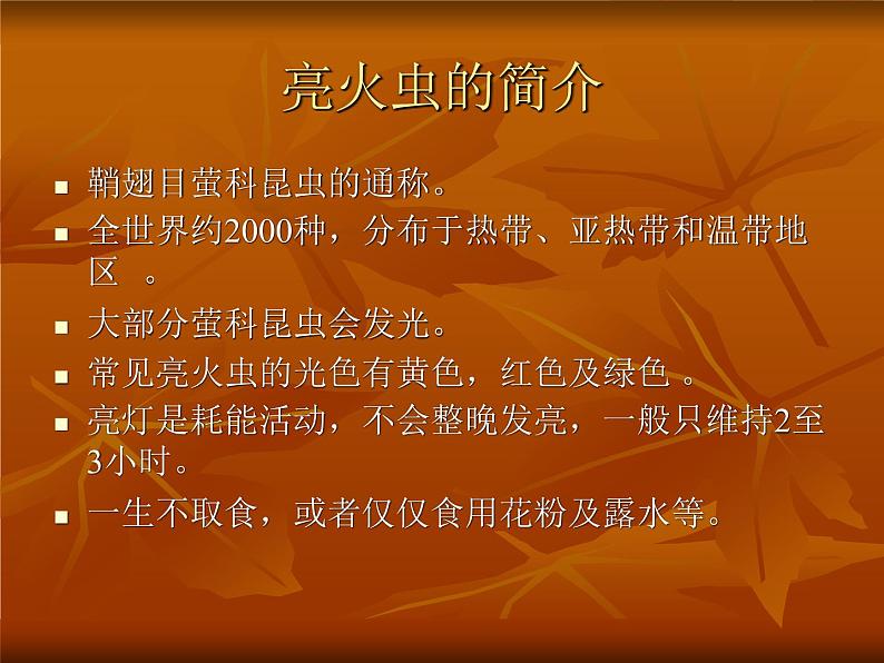 萤火虫的介绍第1页