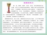 花城版小学音乐三年级上册11.6 歌舞曲《金孔雀轻轻跳》课件（13张）