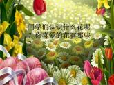 花城版小学音乐二年级下册1.2 歌曲《猜花》课件（12张）