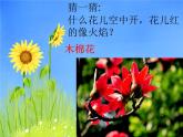 花城版小学音乐二年级下册1.2 歌曲《猜花》课件（12张）