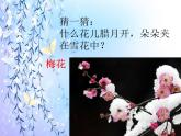 花城版小学音乐二年级下册1.2 歌曲《猜花》课件（12张）