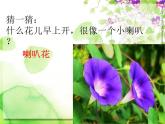 花城版小学音乐二年级下册1.2 歌曲《猜花》课件（12张）