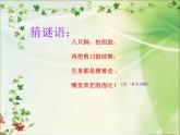 花城版小学音乐二年级上册10.1 歌曲《螃蟹歌》课件（9张）