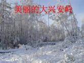花城版小学音乐二年级下册2 歌曲《勇敢的鄂伦春》课件（16张）