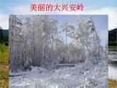 歌曲《勇敢的鄂伦春》PPT课件免费下载
