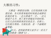 人音版小学一年级音乐下册第3课手拉手  雁群飞课件