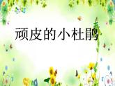 歌曲《顽皮的杜鹃》PPT课件免费下载