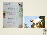 音乐 沪教版 一年级上册 小羊咩咩_ 课件