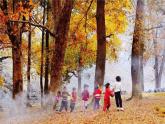 音樂 人音版（簡譜）四年級(jí)上冊(cè)  第五課  童心是小鳥(3)（課件）